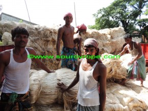 Jute Worker