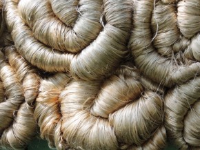 Raw Jute-7